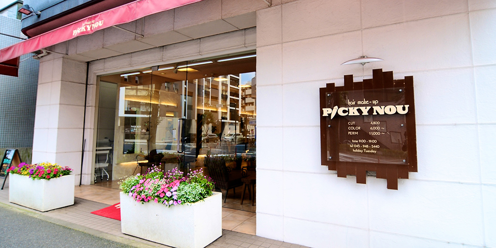 hair make-up PICKY NOU